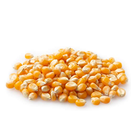 Oh! Nuts Mushroom Popcorn Kernels Bulk 5lb Bag Of 100 All Natural Large White Whole Grain Raw