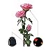 LIEYANG Solar Power 3 LED Pink Rose Flower Light Garden Waterproof Lamp Pink