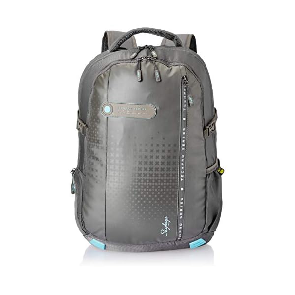Skybags Aztek Pro 20 cms Grey Laptop 
