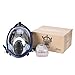 Holulo Organic Vapor Full Face Respirator With Visor Protection For Paint, chemicals, polish