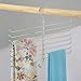 iDesign Steel 8-Rod Spine Hanging Closet Organizer, The Classico Collection - 12.6