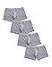 David Archy Men's 4 Pack Polyamide Fast Dry Support Pouch Trunks(S,Gray)