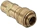 Dixon DCB10 Brass Air Chief Industrial Interchange Quick-Connect Air Hose Fitting, 1/2