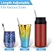 Anpro Portable Straw Collapsible Straw- Reusable Straws with Case, Stainless Steel Telescopic Metal Straws with Key Chain & Cleaning Brush For Travel, Home and Work,Bottle Brush-3 Pack