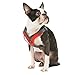 Gooby - Trekking Harness, Small Dog Fleece Lined Harness with Memory Foam Padding, Red, X-Small