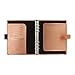 Filofax 2019 A5 Saffiano Organizer, Rose Gold, 8.25 x 5.75 inches (C022572-19)