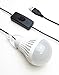SunJack CampLight (TM) USB LED Bulb 340 Lumens - Cool White (for Camping, Hiking, Fishing, Backpacking and Other Outdoor Activities, as Well as Emergency)