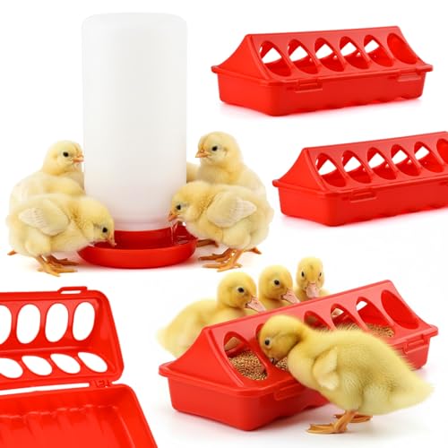 Yonderfume Chick Feeder Kit