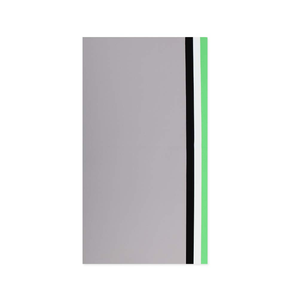 Foldio2 Plus Extra Backdrop Set (Photography Background Collapsible Backdrop for Photo Shooting Mini Studio Box Black/White/Gray/Green) by ORANGEMONKIE