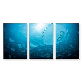 3 Panel Canvas Wall Art Jellyfish in Deep Sea Pictures Home Wall Decorations for Bedroom Living Room Paintings Canvas Prints Framed - 16"x24" x 3 Panels