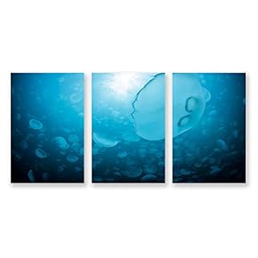 3 Panel Jellyfish in Deep Sea Pictures Home...