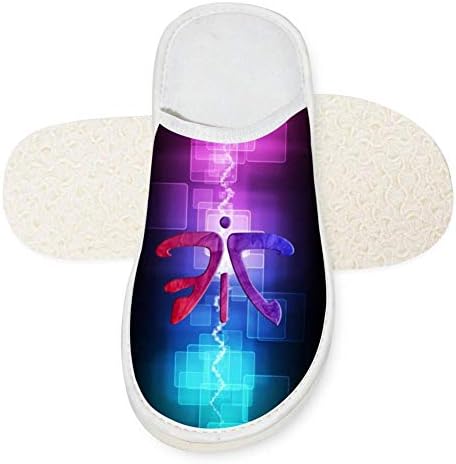 EiGo Fnatic Stylish 3D Printing Cotton Slip pers Unisex Comfortable Cotton Indoor & Outdoor Slippers