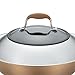 Anolon Advanced Hard-Anodized Nonstick 14
