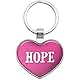 Graphics and More Metal Keychain Key Chain Ring Pink I Love Heart Names Female H Herl - Hilda
