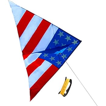 Amazon.com: WindNSun U.S.A. Eagle Supersized Nylon Kite with Flying