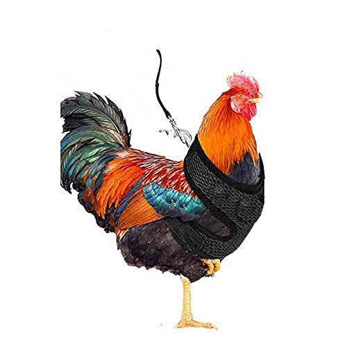 Verstellbares Hühner-Geschirr mit Leine, elastisch, bequem, atmungsaktiv, Haustiergeschirr für Ente, Gans, Henne Traning…