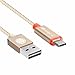 Type C, iOrange-E 6Ft USB C Cable Reversible Cable with LED Indicato, Gold
