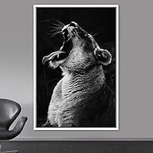 signwin Framed Canvas Wall Art High Contrast Portrait Animals Black and White Contemporary Dogs Duotone Expressive Grey Photography Portrait - 16x24 inches