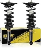 OREDY Rear Driver & Passenger Side Complete Struts