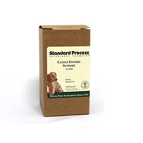 standard process canine enteric support