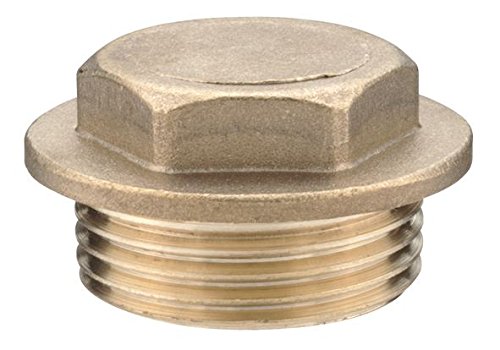 1 1/2" Brass Flanged Plug
