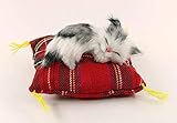 nanguawu Lifelike Sleeping Little Cat Pet with Cloth Mat Kitten Plush Toy