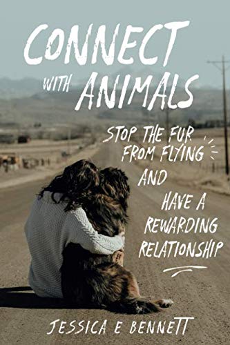 Connect with Animals: Stop the Fur from Flying and Have a Rewarding Relationship