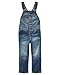 OSHKOSH B'gosh Baby Girls' Toddler World's Best Overalls, Medium, 2T