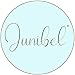 Junibel Balloon Arch & Garland Kit | Pink, Blush, Rose Gold & White Sm - Xlrge balloons | Adhesive Dots | 17' Decorating Strip | Wedding, Baby Shower, Graduation, Anniversary Bachelorette Party