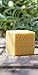 Compagnie de Provence Savon Marseille Palm Soap Cube - 400 grams - Made in France