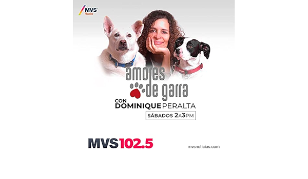 Amazon Com Amores De Garra Mvs Radio Audible Books Originals