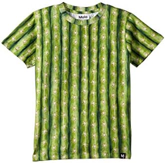 Molo Boy's Raymont T-Shirt (Little Kids/Big Kids)