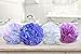 Loofah Bath Sponge XL 75g Set of 4 Pastel Colors by À La Paix - Soft Exfoliating Shower Lufa for Silky Skin - Long-Handle Mesh Body Poufs- Women and Men’s Luffas - Soft Texture - Full Cleanse & Lather
