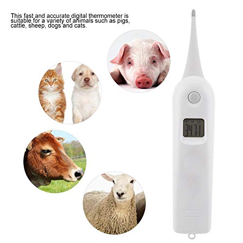 Jeffergarden Pet Thermometer Horse Anus Thermometer Fast Digital Veterinary Thermometer for Dogs, Cats,Pig,Sheep - Thumbnail 5