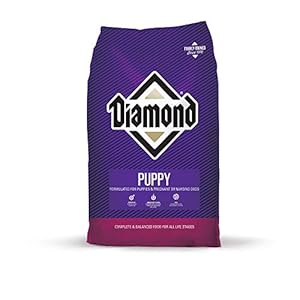 Diamond Premium Puppy Complete and Balanced Dry Dog Food Formula with Protein, Probiotics and Healthy Fat That Provide…
