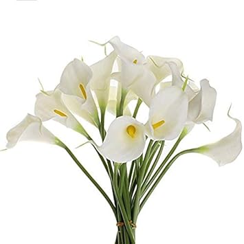 Amazoncom Kkeinn 10 Tête Blanche Lys Calla Artificielle