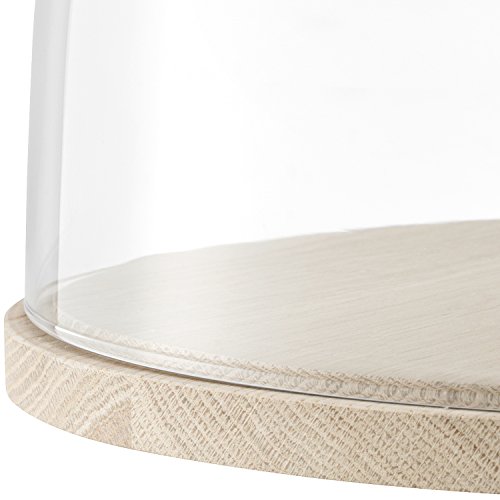 LSA IV03 Ivalo Dome & Ash Base Ø12.5in/8in Clear