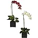 Nearly Natural Phalaenopsis Orchid with Black Vase Silk Arrangement (Set of 2)