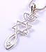 Messianic Seal Necklace Hebraic Roots Gold Grafted Comes In A Gift Pouch