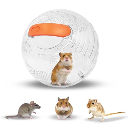 Happy Habitats Clear Exercise Ball