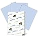 Hammermill Colored Paper, 20 lb Orchid Printer Paper, 8.5 x 11-1 Ream (500 Sheets) - Made in the USA, Pastel Paper, 103770R