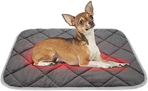 治療 クラシック 同行する 犬 あったかい ベッド Adrienlombardo Com