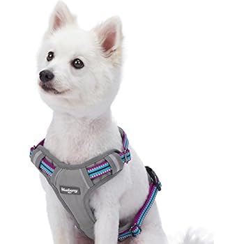 Blueberry Pet 9 Colors Soft & Comfy 3M Reflective Multi-Colored Stripe Mesh Padded No Pull Dog Harness Vest with Back Leash Clips, Small, Violet & Celeste