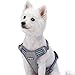 Blueberry Pet Soft & Comfy 3M Reflective Dog Harness Vest | Mesh Padded No Pull Dog Harness w/Back Clips | Multi-Colored Stripe - Violet and River Blue | Reflective Dog Harness for Medium Dogs