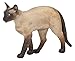 Papo Dog and Cat Companions Figure, Siamese Cat
