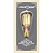 GLOBE Electric 31324 40W Vintage Edison S60 Squirrel Cage Incandescent Filament Light Bulb 3-Pack, E26 Base, 145 Lumens, Edison Bulbs, Vintage Light Bulbs, E26 Light Bulb, Home Improvement
