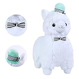 Alpacasso 14
