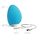 We Vibe Wish Personal Massager
