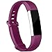 iGK For Fitbit Alta Bands and Fitbit Alta HR Bands, Newest Adjustable Sport Strap Replacement Bands for Fitbit Alta and Fitbit Alta HR Smartwatch Fitness Wristbands Fuchsia Large