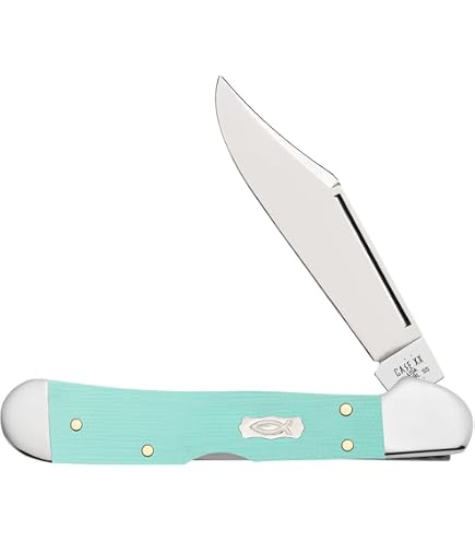 Amazon.com: Case Cutlery CA18106: Lockback Seafoam Green : Sports